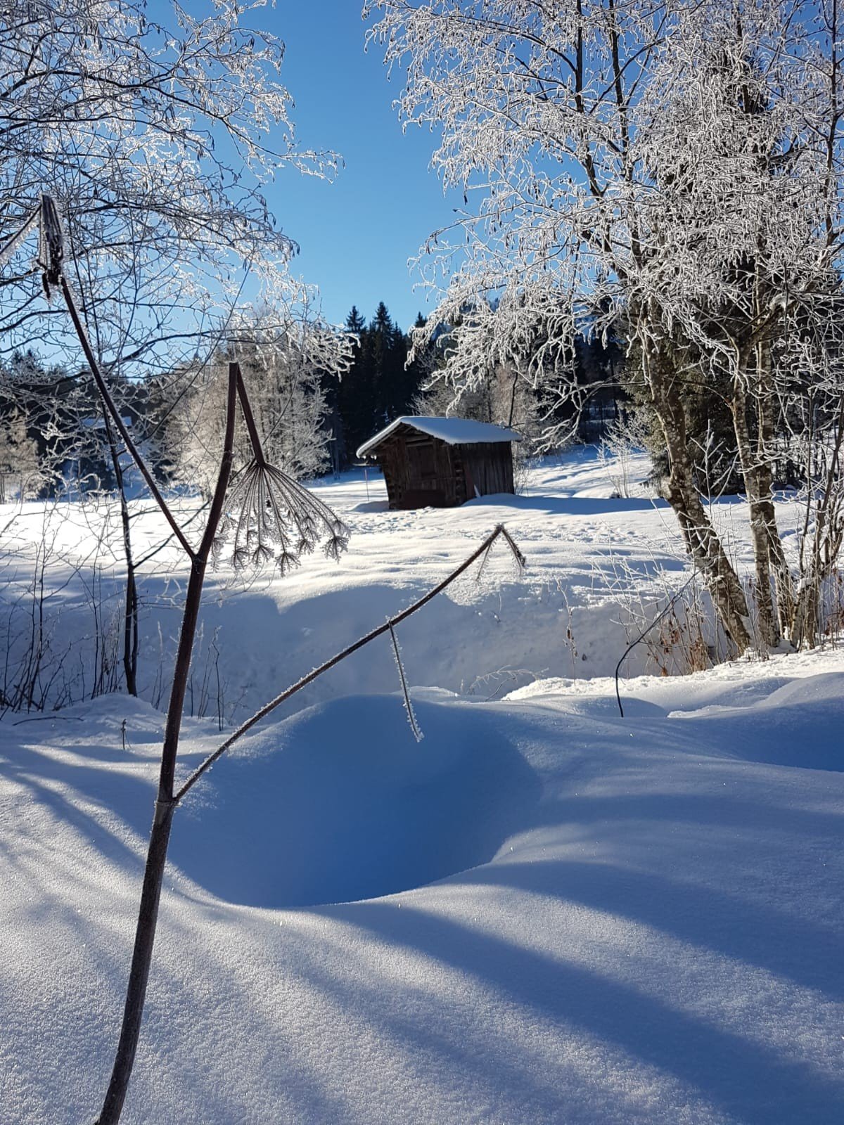 Skifahren im Oberallgäu