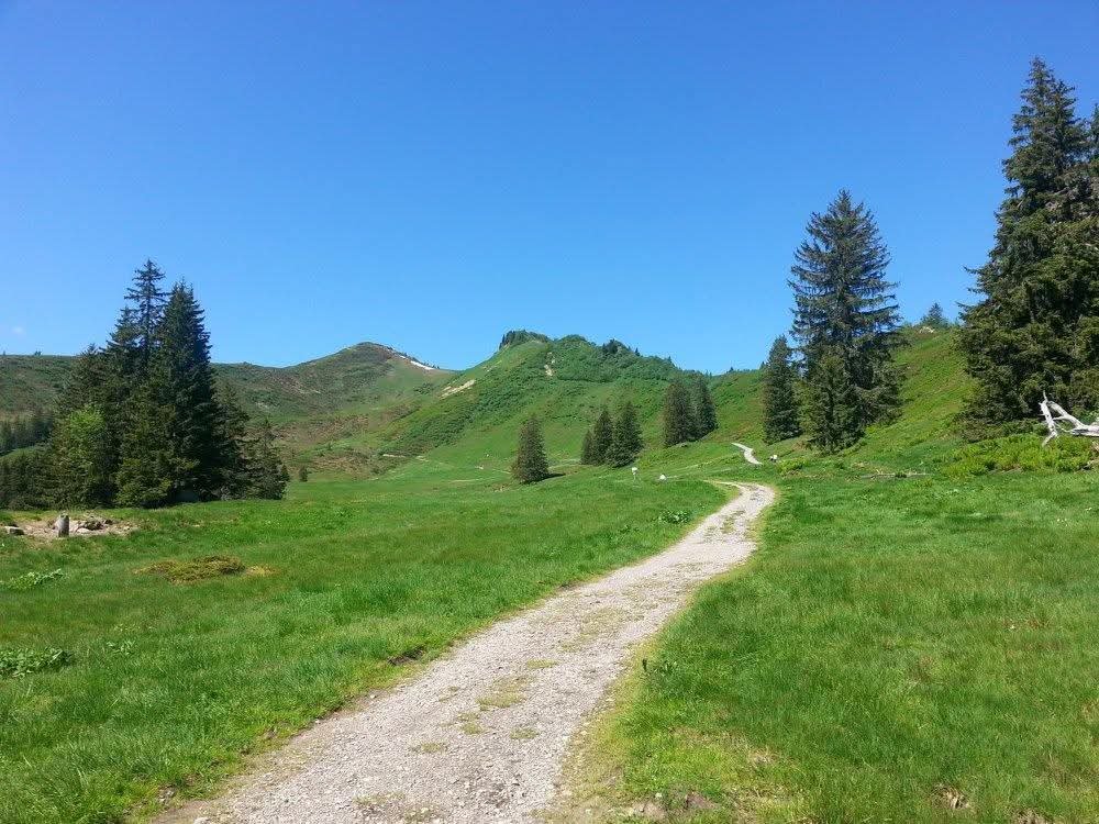 Geführte Wanderung im Oberallgäu
